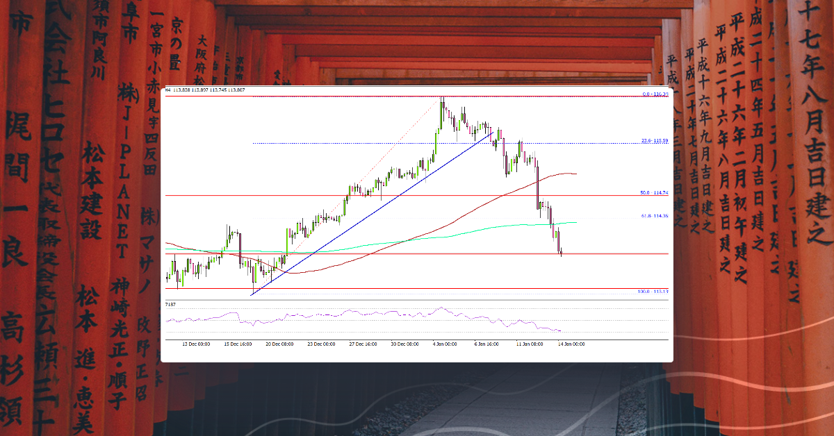 USD/JPY Starts Fresh Decrease, Key Support at 113.20