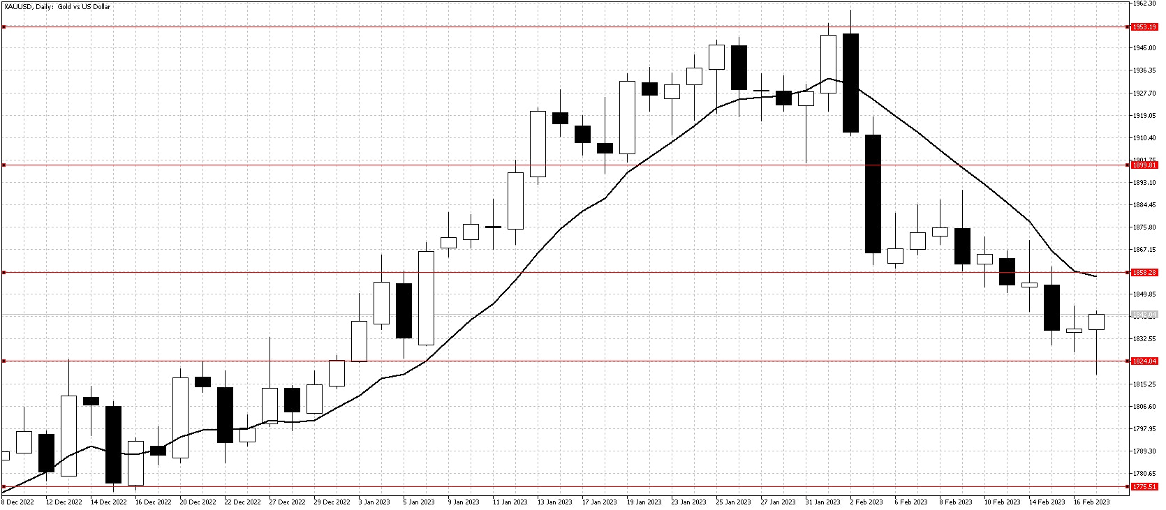 Gold chart Feb 20