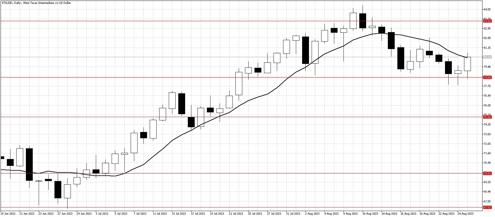 XTIUSDDailyAug27