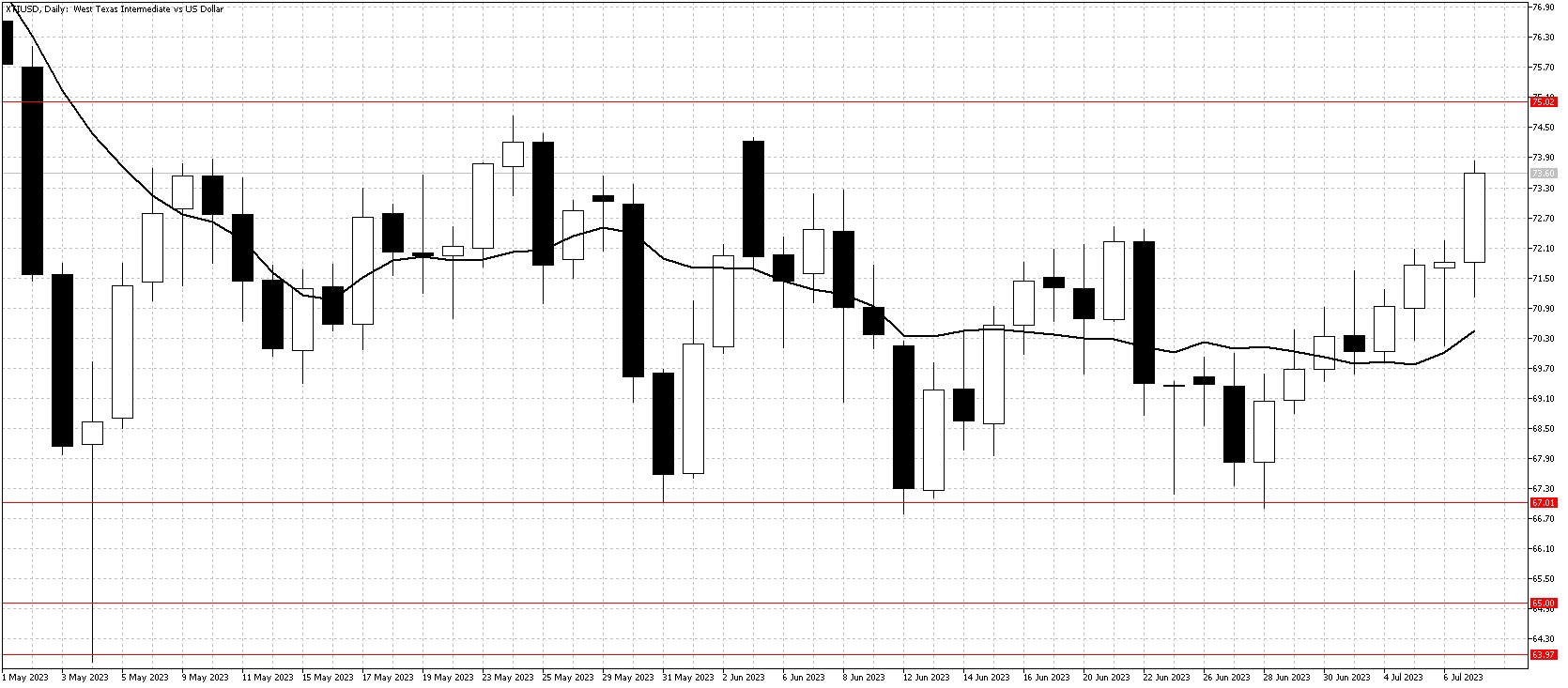 WTI Daily Chart July 10