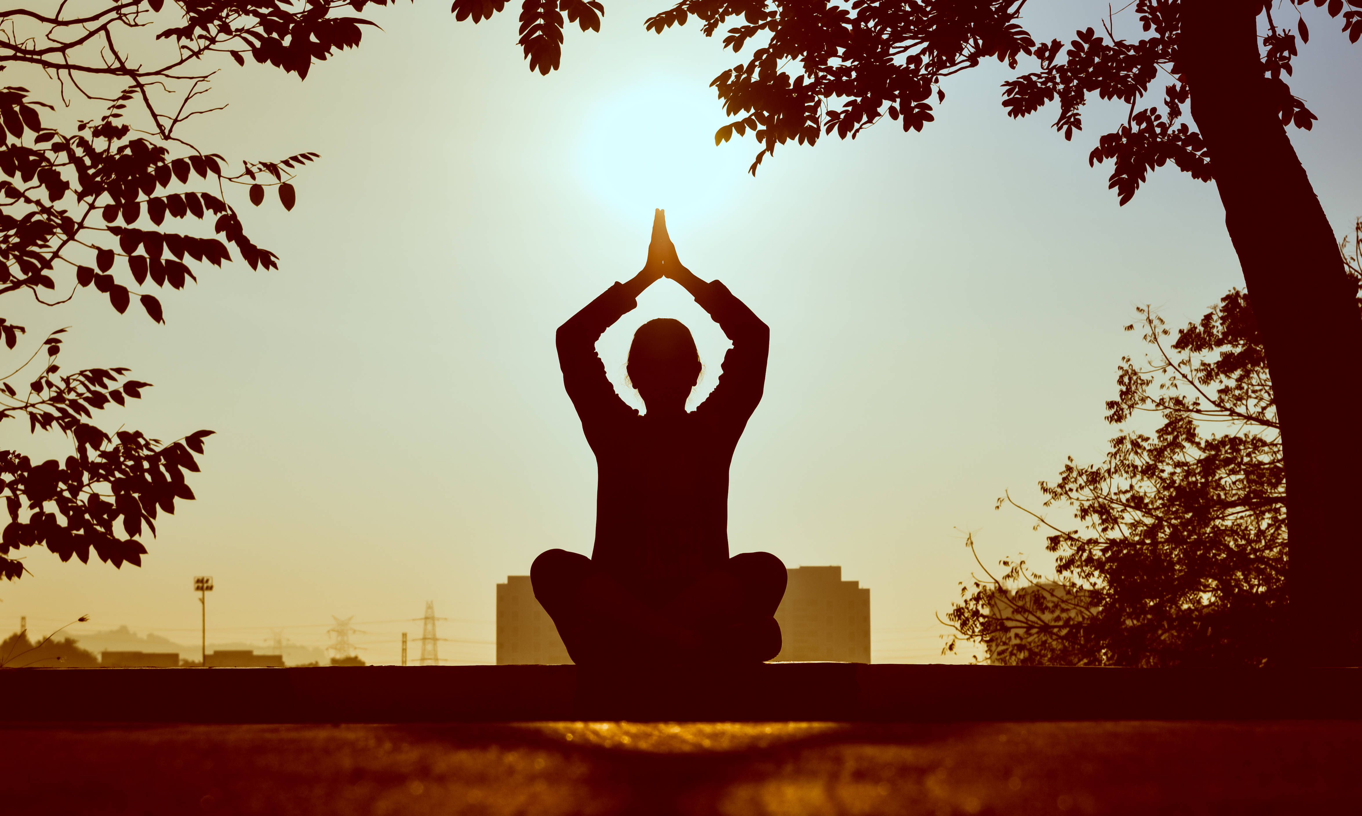6 Incredible benefits of yoga for a healthier trading lifestyle