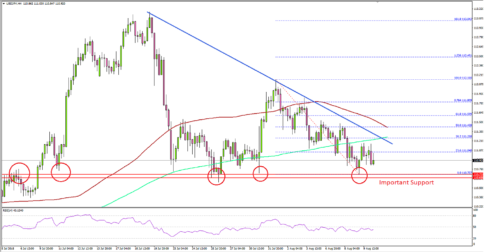 USD/JPY Holding Important Support Above 110.50