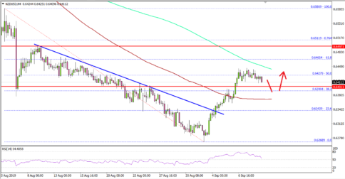 NZD/USD Could Correct Before Fresh Increase